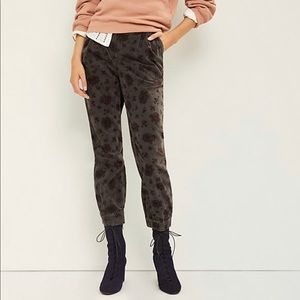 Anthropologie Kalea Joggers